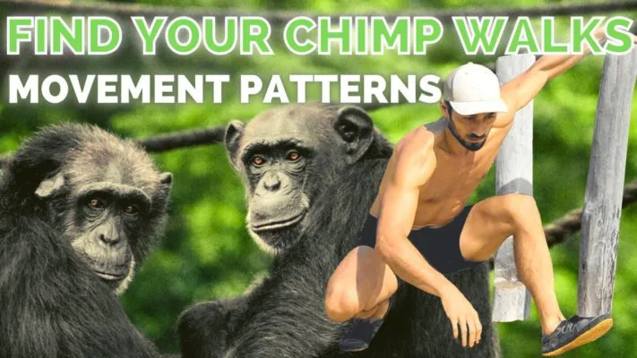 Movement patterns - chimp walks